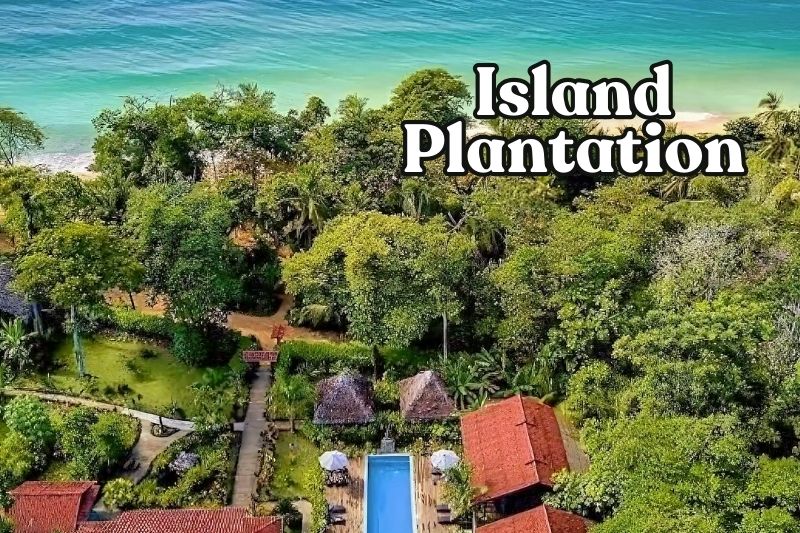 Island Plantation