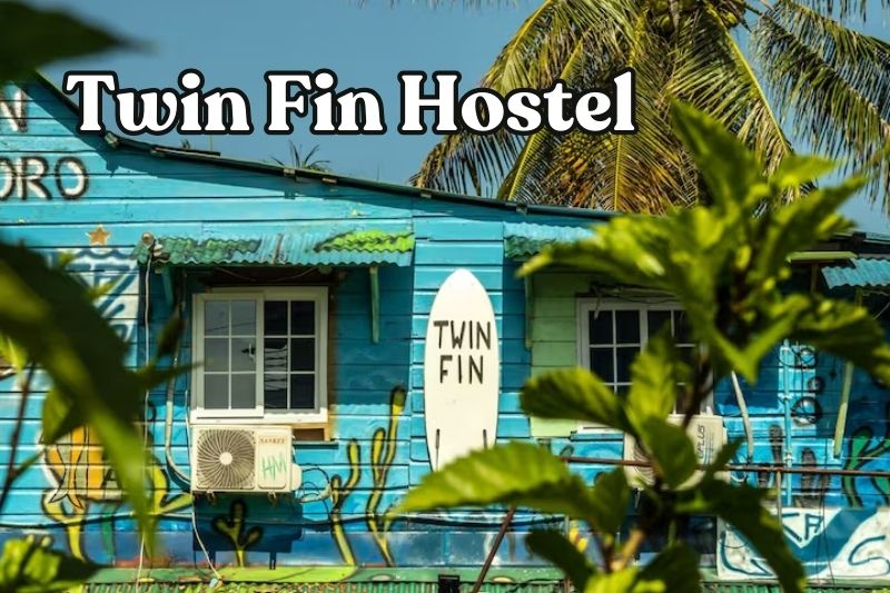 Twin Fin Hostel